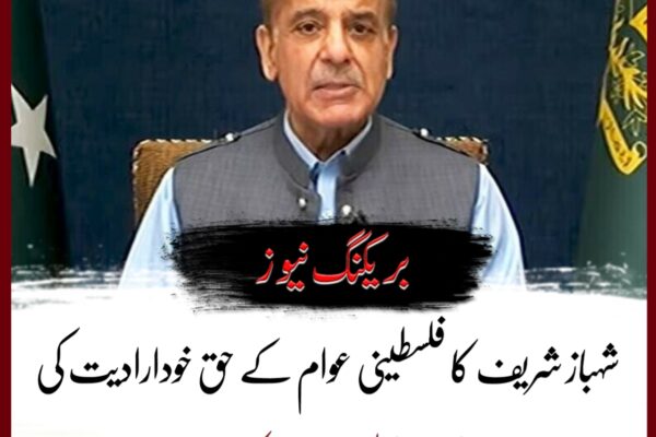 شہباز شریف کا فلسطینی عوام کے حق خودارادیت کی غیر متزلزل حمایت کا اعادہ