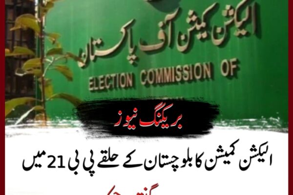 الیکشن کمیشن کا بلوچستان کے حلقے پی بی 21 میں دوبارہ گنتی کا حکم