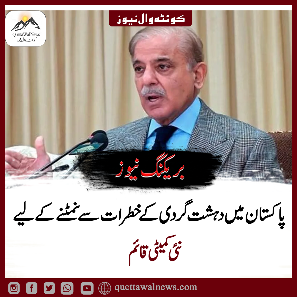 وزیرِ اعظم نے دہشت گردی کے خلاف کمیٹی تشکیل دی