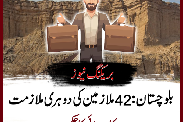 محکمہ تعلیم میں دوہری ملازمت کا انکشاف